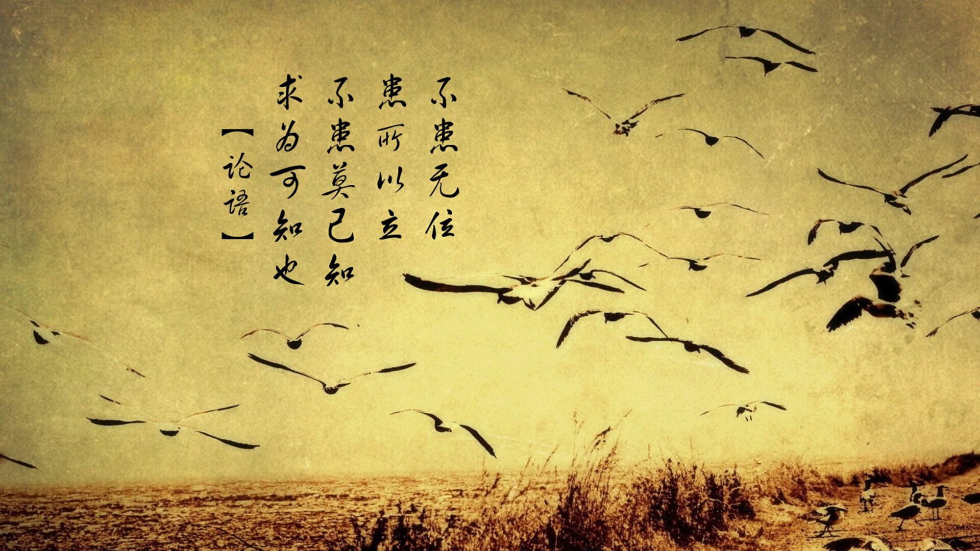 青少年体育赛事组织管理机制，青少年体育协会组织架构