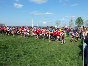 开云体育网址-青少年体育活动参与动机分析，青少年参加体育运动的动机