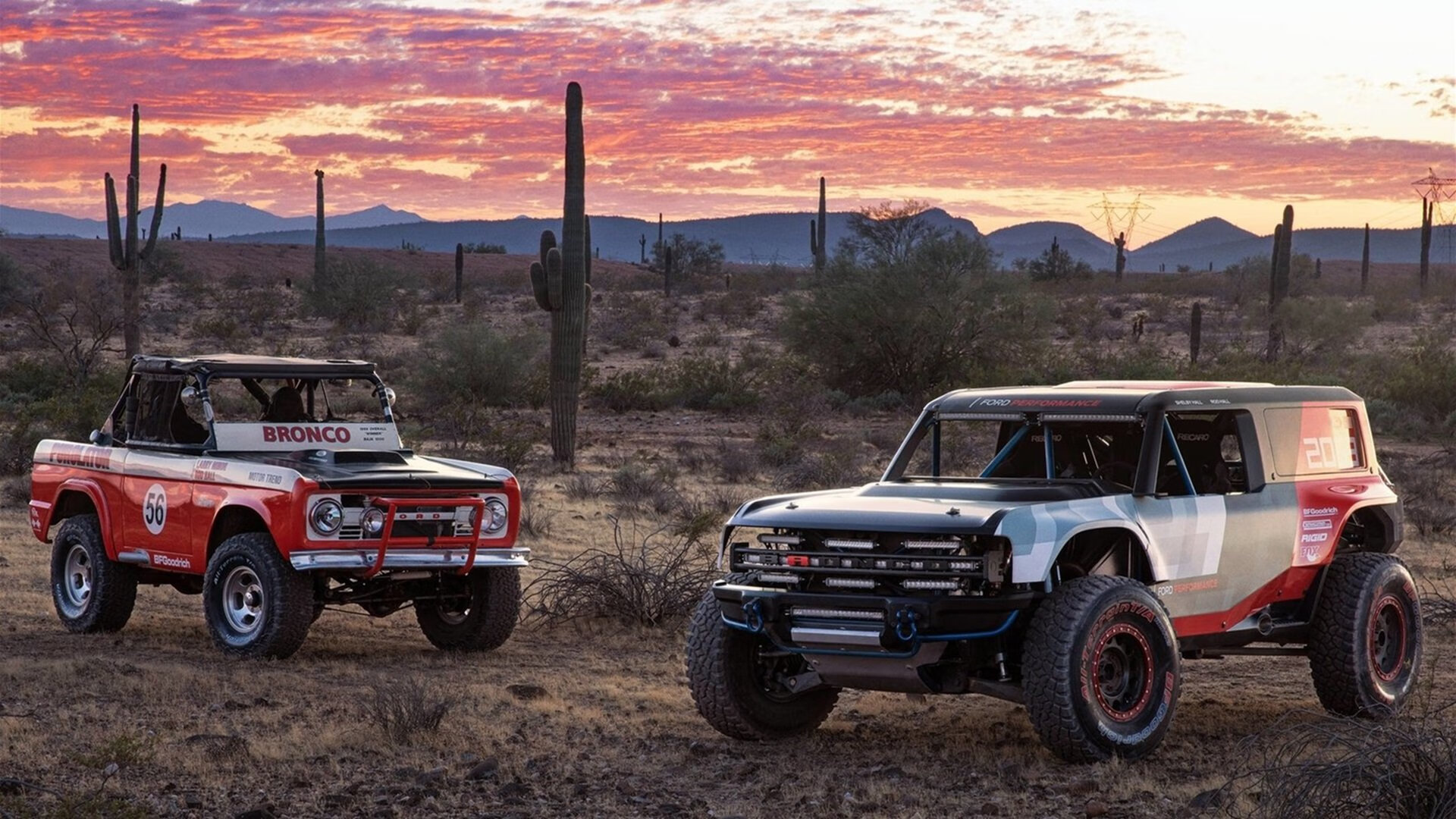 “新加坡赛场，游泳与水上芭蕾大放异彩”