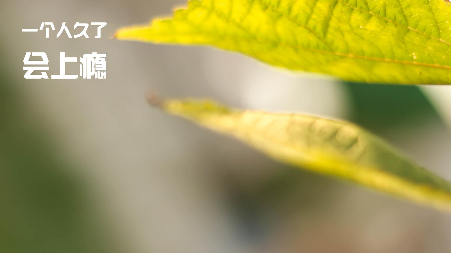 体育医疗新规优化伤情申报流程，体育医疗包括