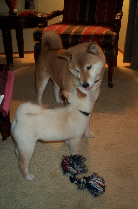 博卡边后卫突破成功率高，博卡vs竞技实时比分