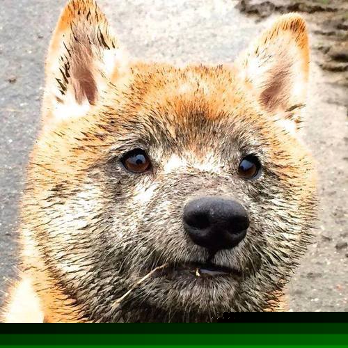 开云体育平台-球队是否根据控球时长制定差异化换人策略，简述球队控制球结束的三种情形