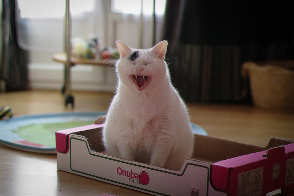 开云体育app注册-丁俊晖分析比赛过程称细节决定成败，丁俊晖赛场上施展失传的绝技