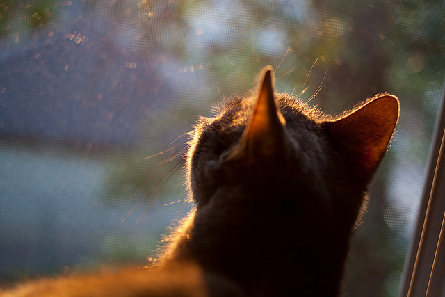丁俊晖分析比赛过程称细节决定成败，丁俊晖赛场上施展失传的绝技