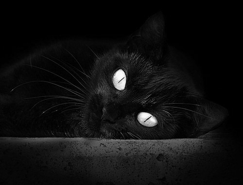 中国男篮加强进攻多样化培养适应国际比赛节奏,中国男篮要求