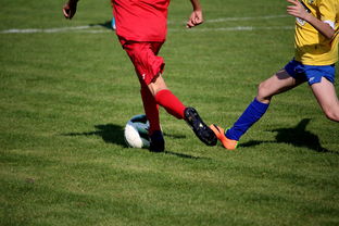 开云体育app官网-中小学篮球教研活动不断创新教学方法提升训练效果，篮球教研活动总结