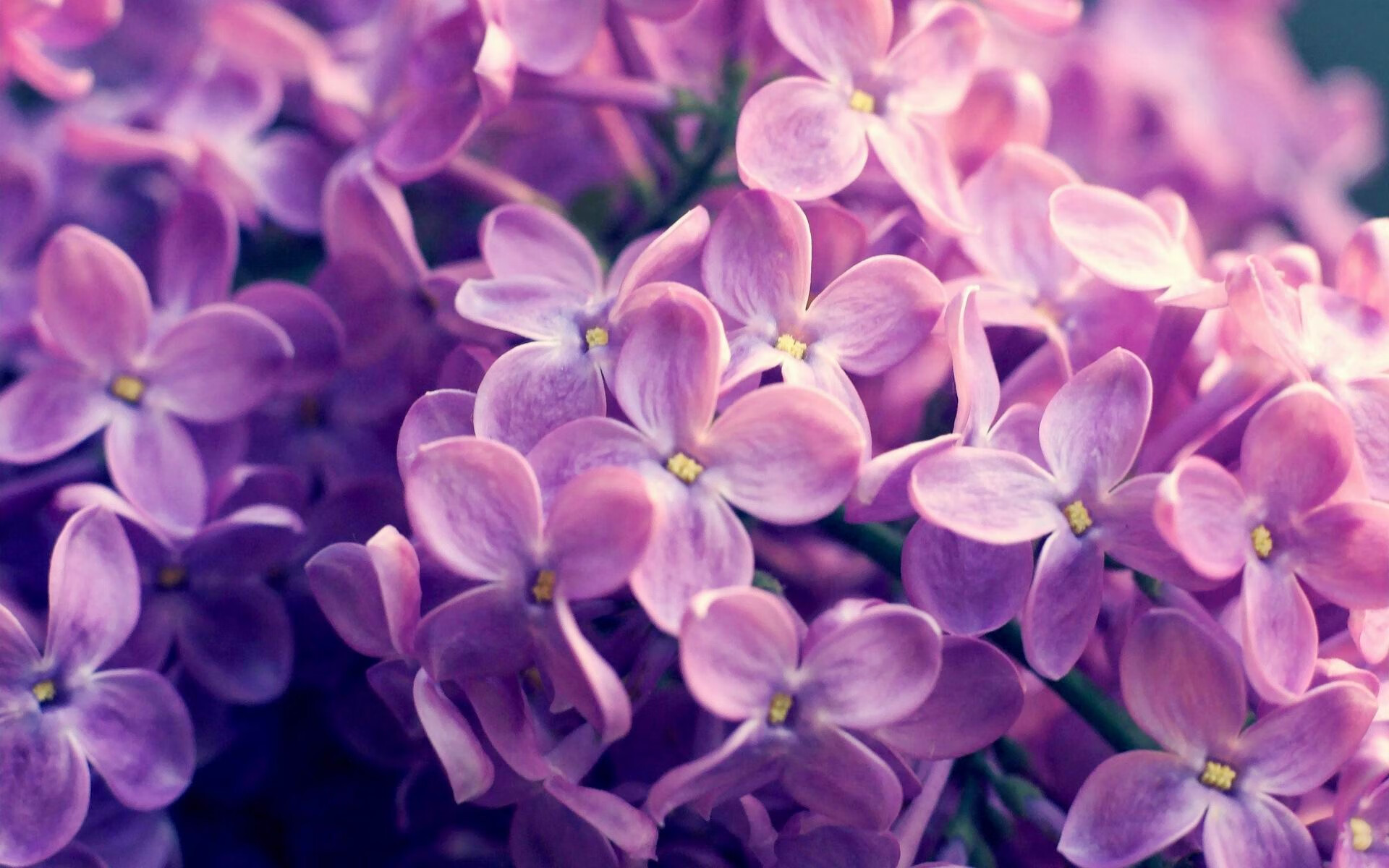 媒体报道中国篮球人才断层问题引发业内多方热议，中国篮球可惜人才