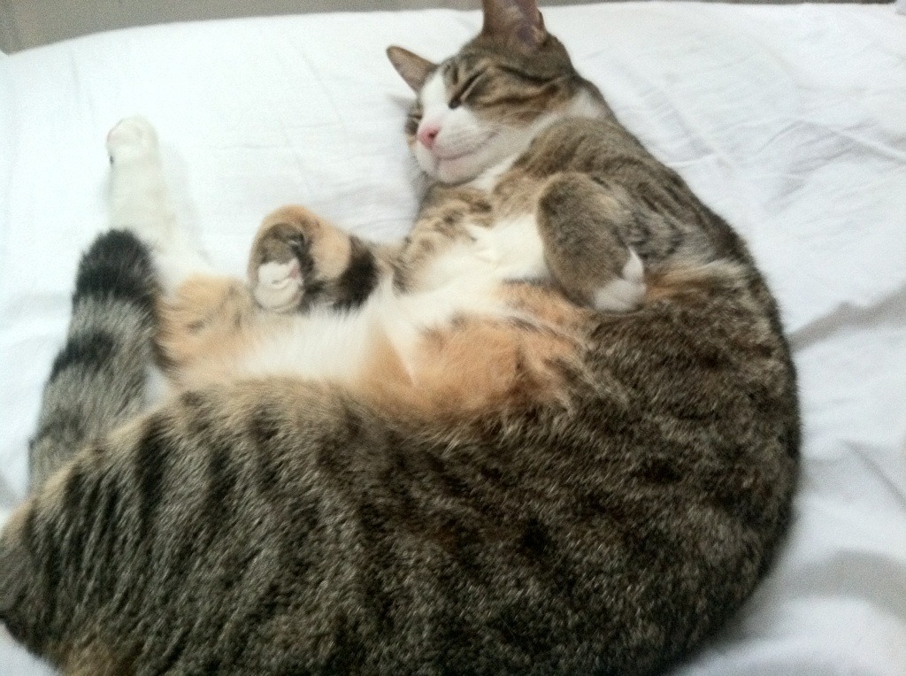 巴西青训体系持续改革，新一代足球明星不断涌现