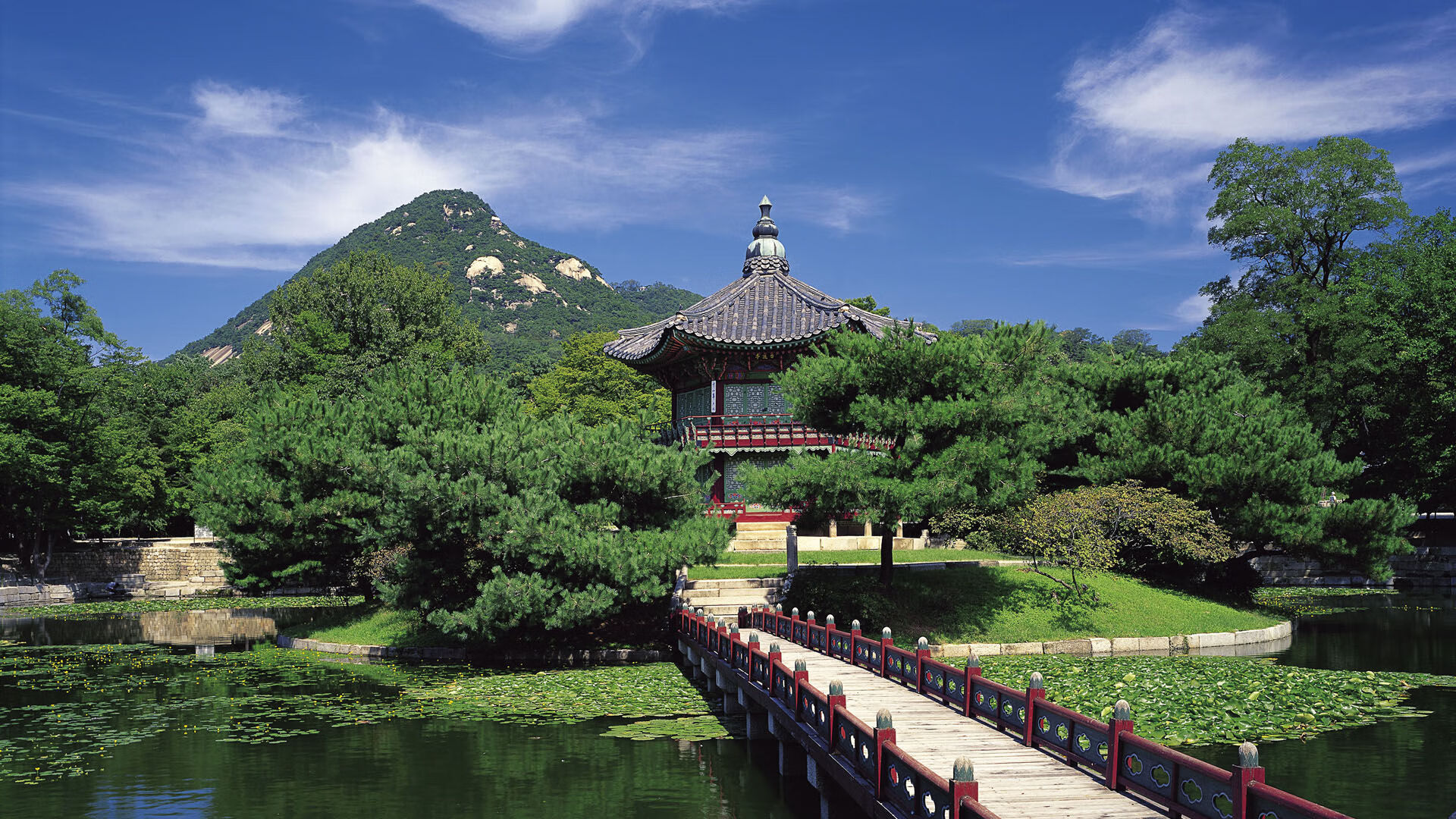 排球联赛决赛天津女排再夺冠，排球联赛决赛天津女排再夺冠视频