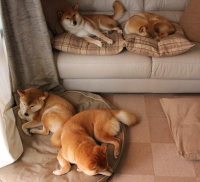 林丹创造历史羽毛球世锦赛,林丹羽毛球夺冠视频